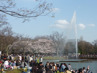 巨大な噴水とともに